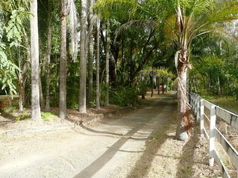 285-297 Clifton Drive, North Maclean QLD 4280