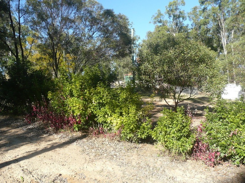 Cedar Vale QLD 4285