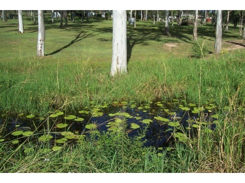 Jimboomba QLD 4280