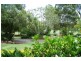 1 Brushwood Crescent, Cedar Grove QLD 4285