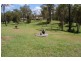 Jimboomba QLD 4280