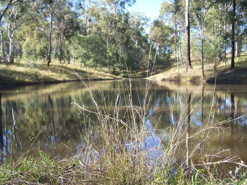 Cedar Grove QLD 4285