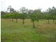 180 Forrest Home Road, Rathdowney QLD 4287