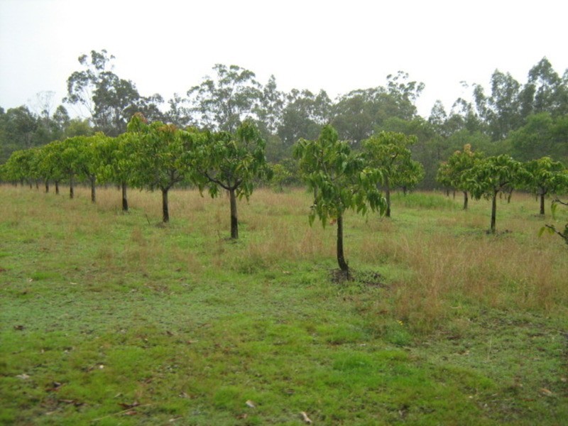 180 Forrest Home Road, Rathdowney QLD 4287
