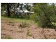 Cedar Vale QLD 4285