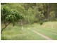 Cedar Vale QLD 4285