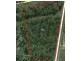 Logan Village QLD 4207