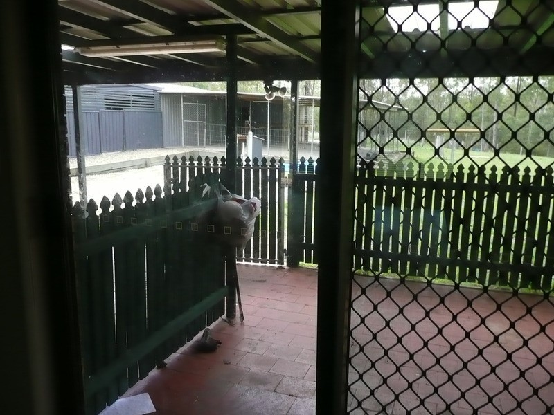 324 Teviot Road, North Maclean QLD 4280