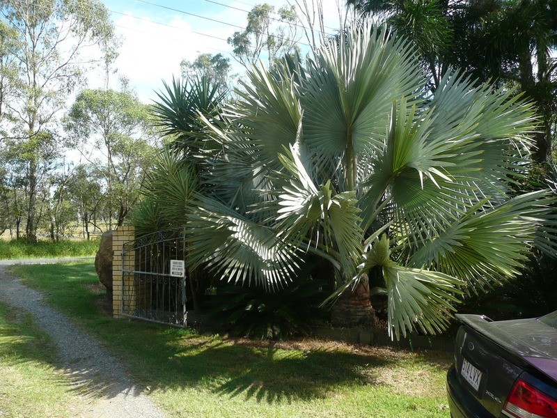 53-63 Round Ridge Road, Jimboomba QLD 4280