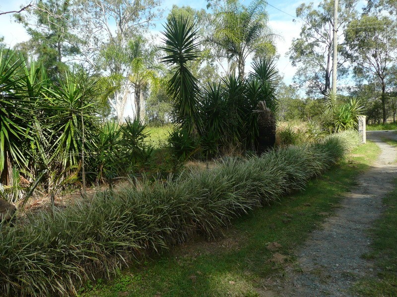 53-63 Round Ridge Road, Jimboomba QLD 4280