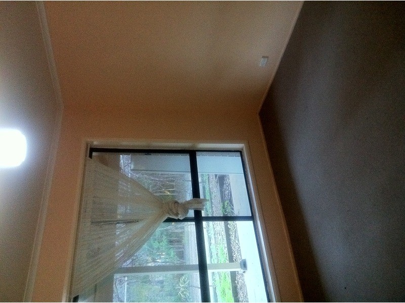 111 Chadwick Drive, South Maclean QLD 4280