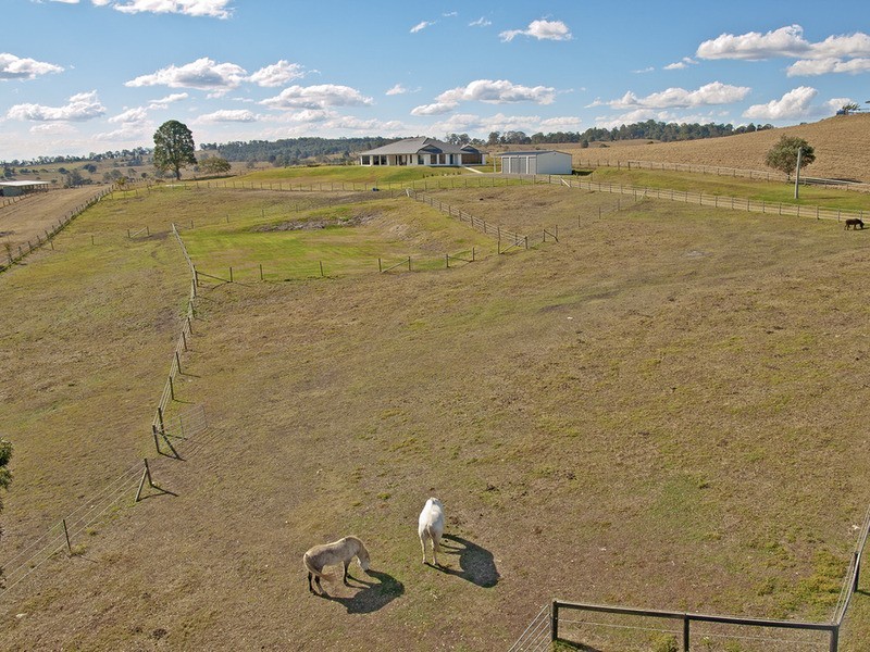 Veresdale Scrub QLD 4285