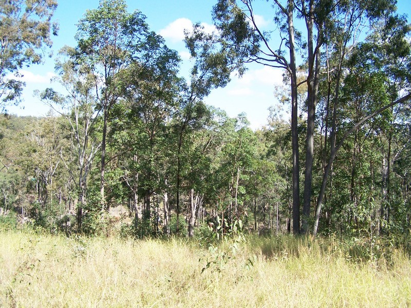 211 Harrison Road, Cedar Vale QLD 4285