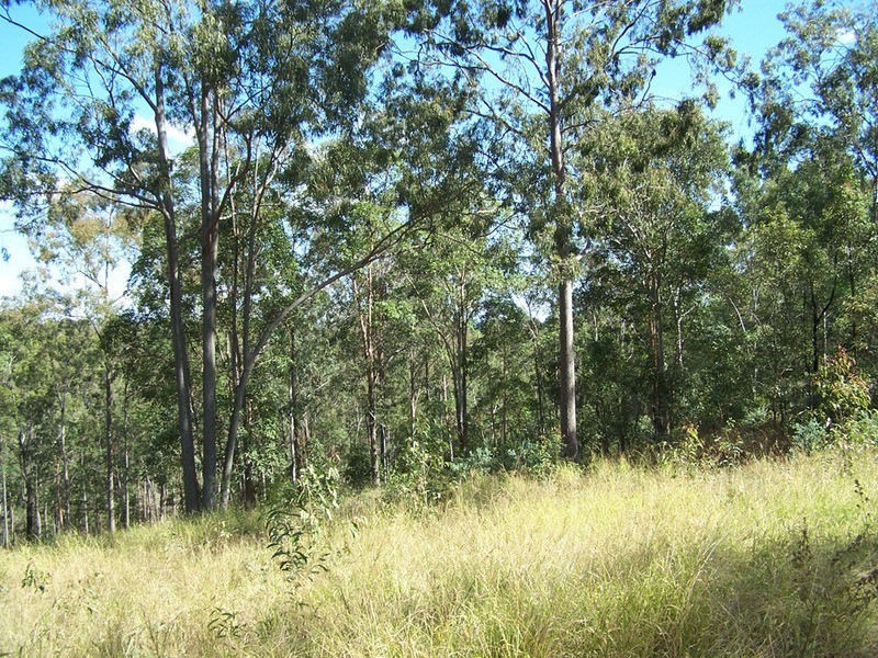 211 Harrison Road, Cedar Vale QLD 4285
