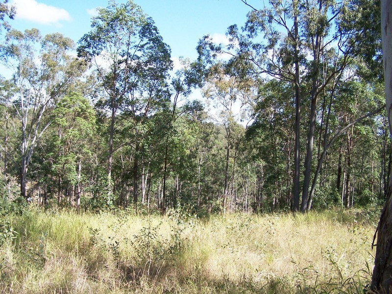 211 Harrison Road, Cedar Vale QLD 4285