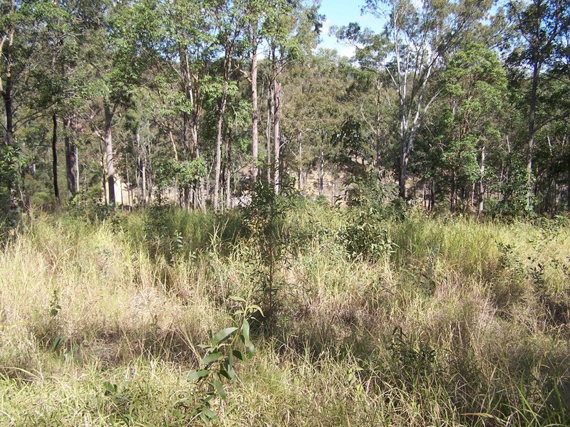 211 Harrison Road, Cedar Vale QLD 4285