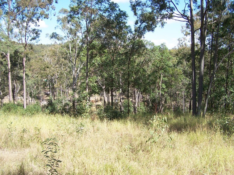 211 Harrison Road, Cedar Vale QLD 4285