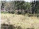 211 Harrison Road, Cedar Vale QLD 4285