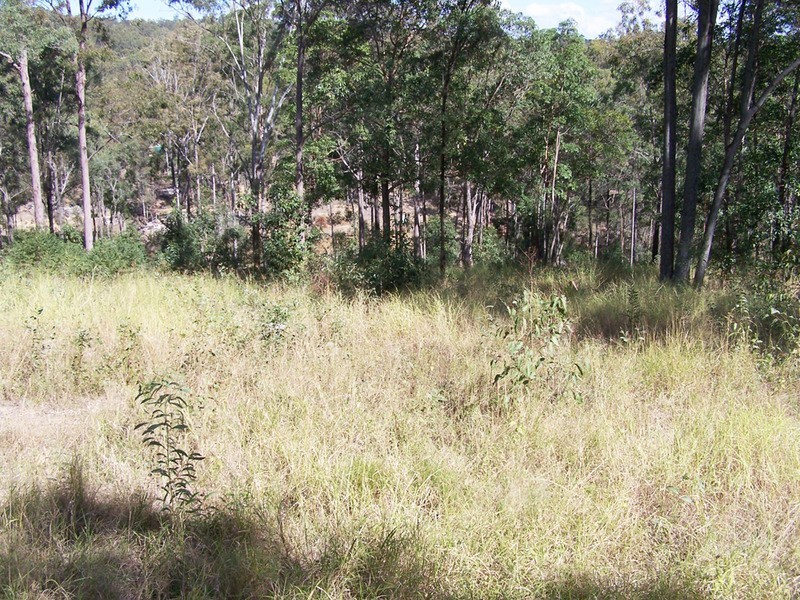 211 Harrison Road, Cedar Vale QLD 4285