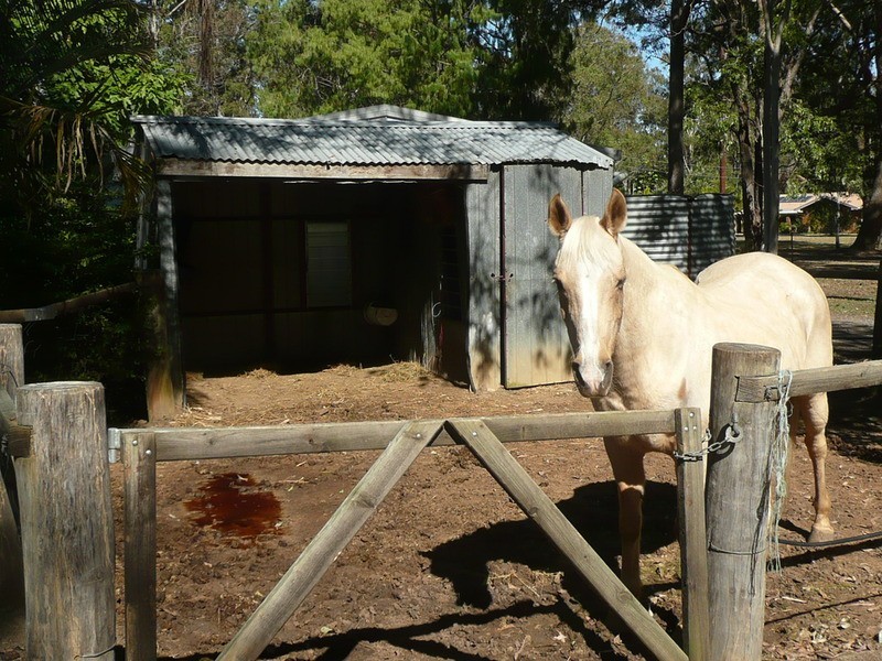 13-15 Katherine Court, Logan Village QLD 4207