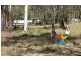252-258 Cedar Grove Road, Cedar Grove QLD 4285