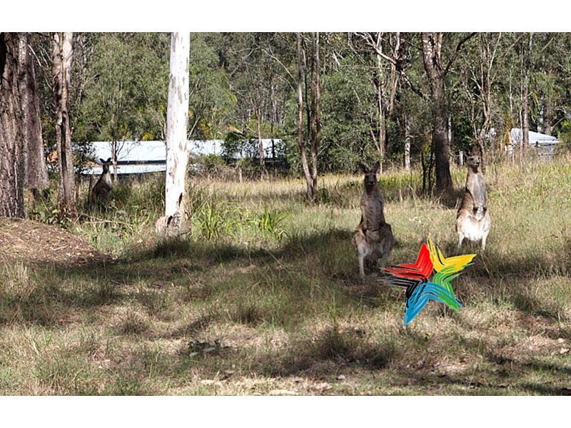 252-258 Cedar Grove Road, Cedar Grove QLD 4285