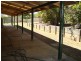 238 Bushman Drive, Jimboomba QLD 4280
