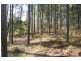 Jimboomba QLD 4280