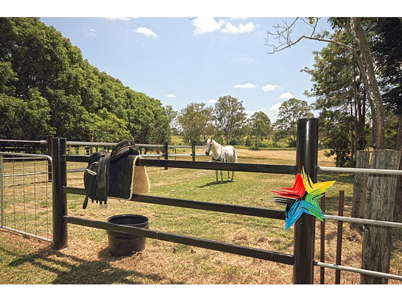 99 Couldery Court, Cedar Grove QLD 4285