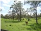 Jimboomba QLD 4280
