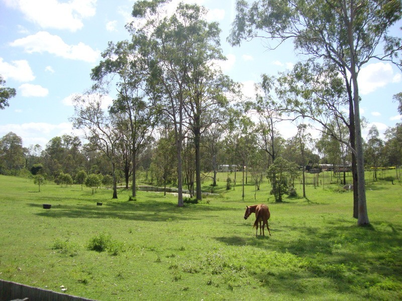 Jimboomba QLD 4280