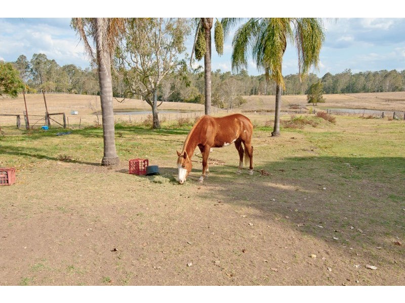 61-69 Dundee Road, North Maclean QLD 4280