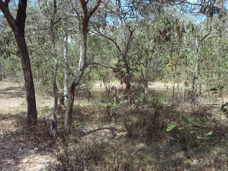 North Maclean QLD 4280