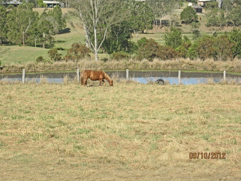 305-311 Leopardwood Road, Cedar Grove QLD 4285