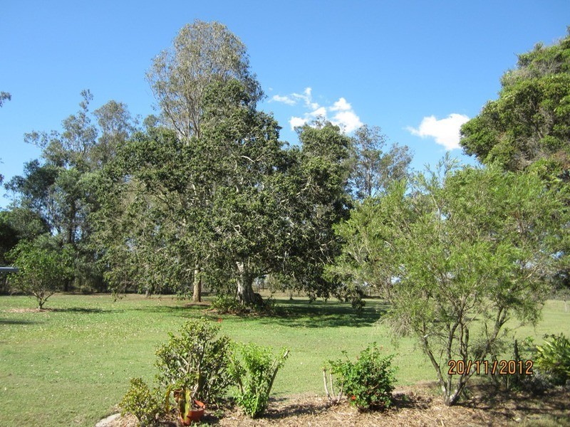 Cedar Grove QLD 4285