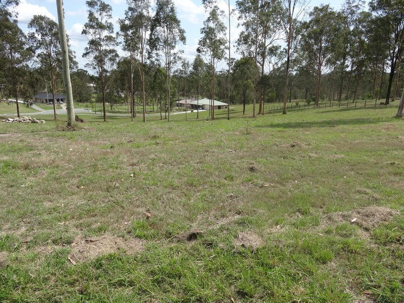 Jimboomba QLD 4280