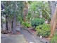 Cedar Grove QLD 4285