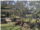 North Maclean QLD 4280