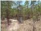 Jimboomba QLD 4280