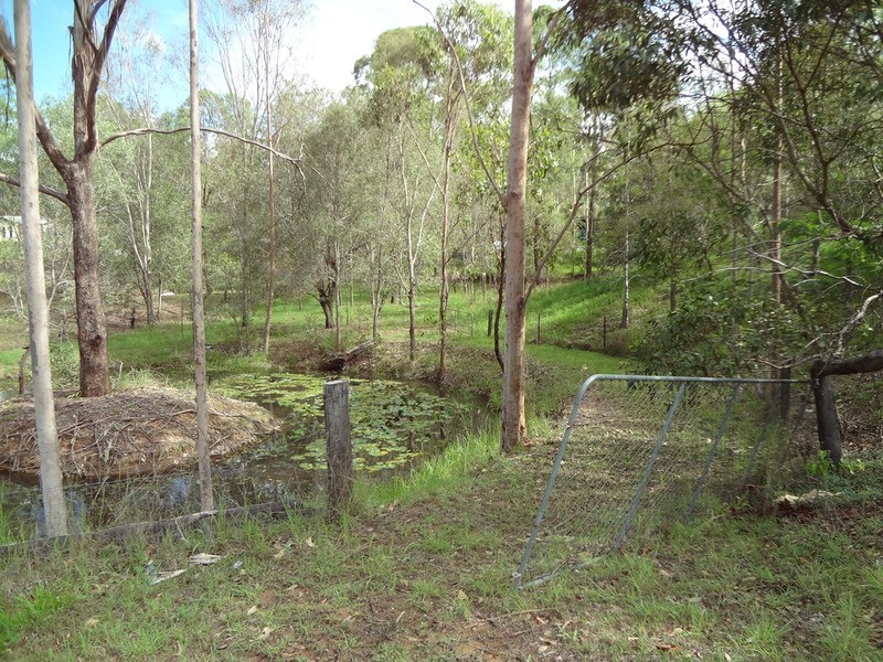 Cedar Grove QLD 4285