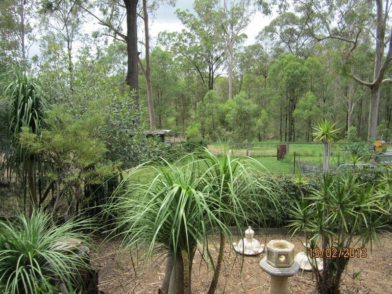 149 Leopardwood Road, Cedar Grove QLD 4285