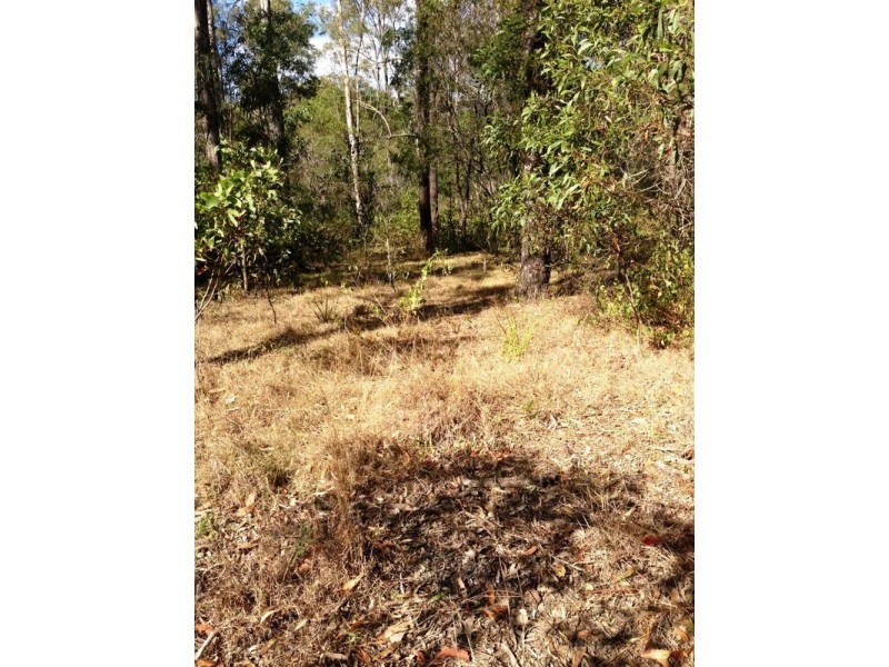 177 Davidson Road, Jimboomba QLD 4280