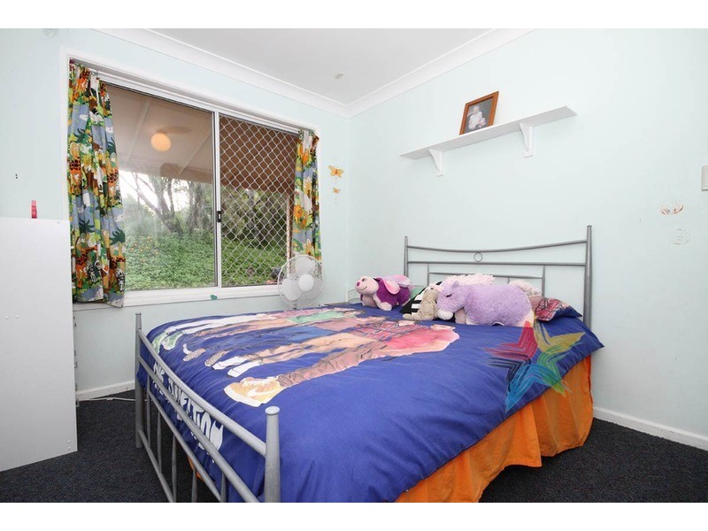 259 Cedar Grove Road, Cedar Grove QLD 4285