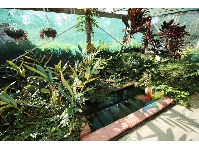 146-152 Victoria Drive, Jimboomba QLD 4280