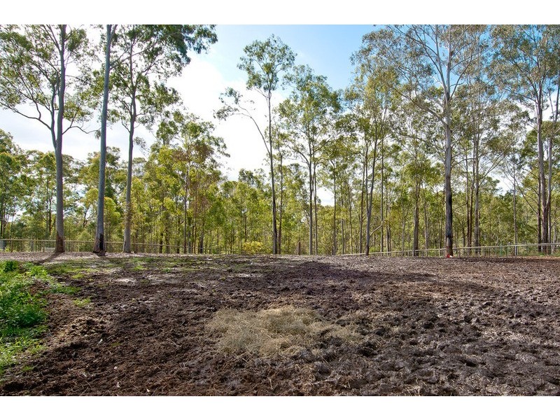 Cedar Vale QLD 4285