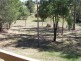 Cedar Grove QLD 4285