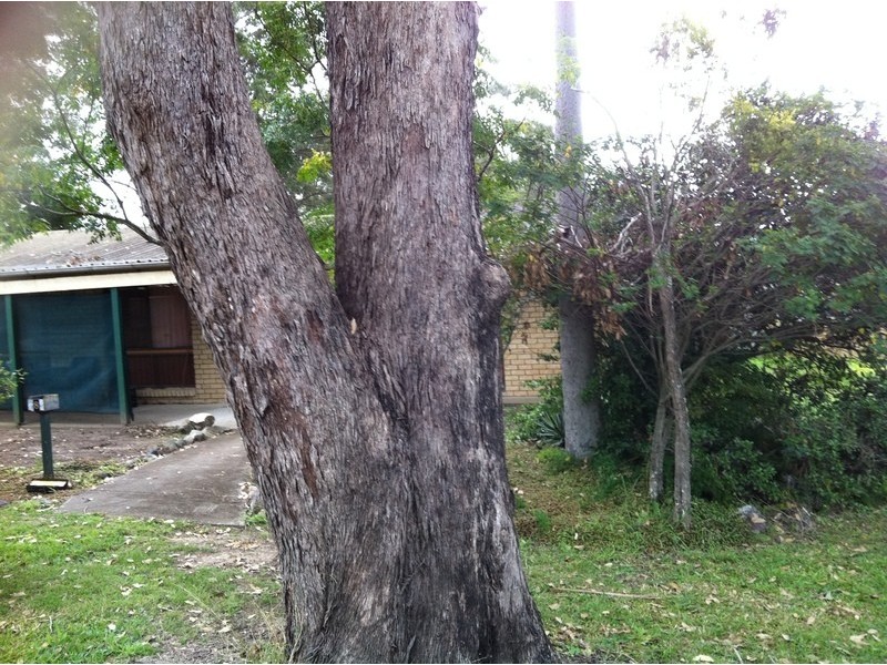 8 Wharf Street, Waterford West QLD 4133