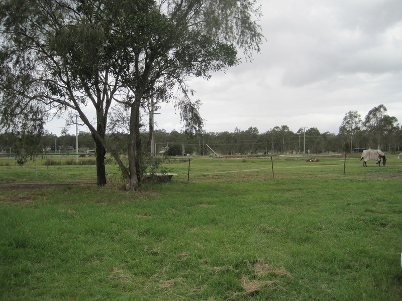Jimboomba QLD 4280