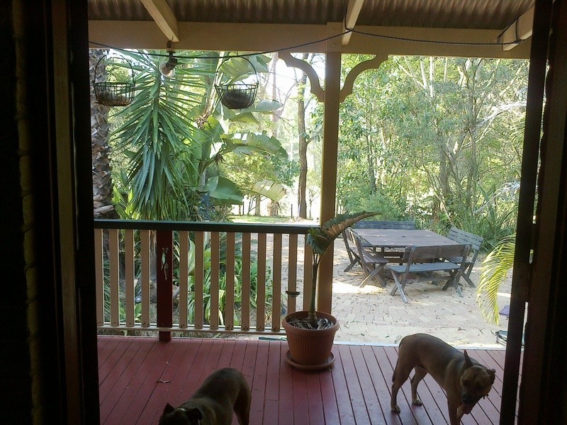 46 Oak Tree Court, Cedar Grove QLD 4285