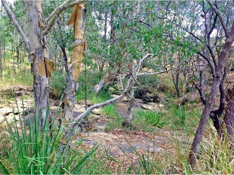 181-185 Myrtle Road, Jimboomba QLD 4280